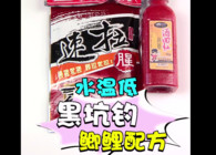 《東北漁事》 遼寧眾信餌料配方水溫低時黑坑釣鯽鯉配方