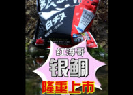《東北漁事》遼寧眾信紅海哥海釣新品銀鯛隆重上市