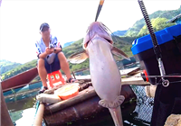 《筏釣寶典》 20150916 筏釣貴州之羅甸行（1）