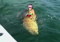 《海釣視頻》 美女手繩海釣大型石斑魚
