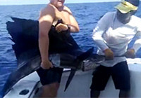 《海釣視頻》 深海抽鐵板釣獲大旗魚