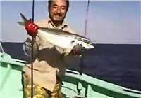 《海釣視頻》 深海探釣擒獲金槍魚