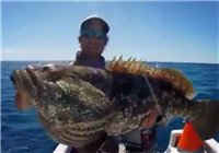 《海釣視頻》 外國釣友深海手繩釣魚獲頗豐