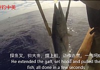 《海釣視頻》美國誘魚上鉤插魚一氣呵成