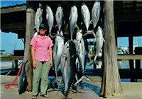 《海釣視頻》 美女海釣獵獲超大金槍魚