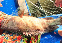 《海釣視頻》男子深海作釣連竿上石斑魚