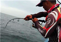 《海釣視頻》 釣友海釣狂拉大馬鮫