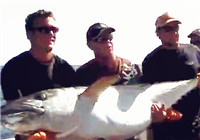 《海釣視頻》 釣友海釣擒獲巨物 手術幫助大魚重回大海