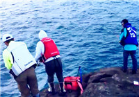 《海釣視頻》 釣友們海邊作釣收獲頗豐