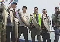 《海釣視頻》渤海釣鱸魚(上)初學釣鱸