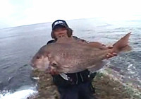 《海釣視頻》 職業釣手磯釣擒獲大鯛魚