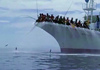 《海釣視頻》 這個海釣捕魚方式太刺激！