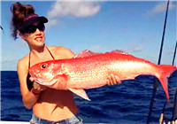 《海釣視頻》 美女出海擒獲大型真鯛魚