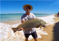《海釣視頻》 男子夏季海釣收獲頗豐