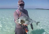 《海釣視頻》 古巴海釣收獲奇魚