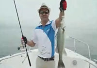 《海釣視頻》游艇海釣擒大鱸大連行