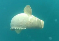 《海釣視頻》 男子炎熱夏季擒獲大龍躉