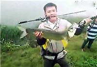 《路亞釣魚視頻》 男子池塘路亞亮片釣翹嘴