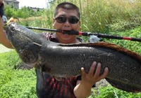 《路亞釣魚視頻》早春季節雷強釣法詳解