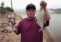 《路亞釣魚視頻》 釣友亮片路亞釣獲鳊魚