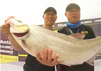 《路亞釣魚視頻》 LUREPRO黃金聯賽鱸釣排位賽——太原汾河二庫