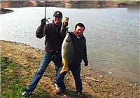 《路亞釣魚視頻》 釣魚高手水庫路亞釣獲大鯉魚