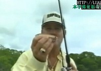 《路亞釣魚視頻》路亞垂釣指導視頻 第11集