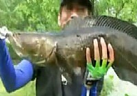 《路亞釣魚視頻》2014夏季雷強 第6集