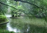 《路亞釣魚視頻》雨天路亞黑魚的選位技巧