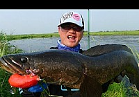 《路亞釣魚視頻》獵黑北大荒第3篇疏疏密密的金魚藻