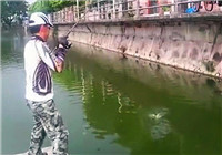 《路亞釣魚視頻》 男子水庫路亞釣獲大草魚