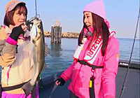 《路亞釣魚視頻》 美女碼頭輕松路亞獵鱸魚