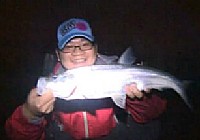 《路亞釣魚視頻》夜釣太湖翹嘴鲌