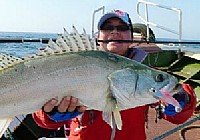 《路亞釣魚視頻》霸道海礁深水鱸之水下的慢功夫