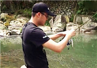 《路亞釣魚視頻》 夏季男子山間溪流路亞釣馬口