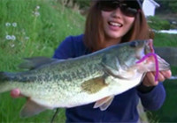 《路亞釣魚視頻》 美女夏季水庫路亞野生鱸魚