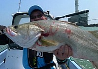 《路亞釣魚視頻》霸道雞骨礁第3篇