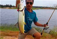 《路亞釣魚視頻》 男子江河路亞釣獲鰱魚