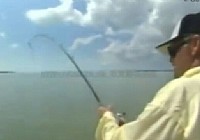 《路亞釣魚視頻》路亞垂釣指導視頻 第14集
