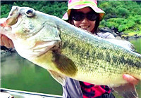 《路亞釣魚視頻》 讓專業的來！日本美女釣友手刃大鱸魚