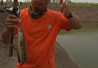 《路亞釣魚視頻》偶遇神奇小塘