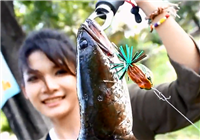 《釣友原創視頻》美女帶你吃喝玩樂路亞黑魚！