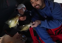 《路亞釣魚視頻》 釣友路亞冰釣收獲頗豐