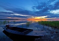 《路亞釣魚視頻》北大荒農場濕地釣獲大黑魚