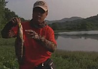 《路亞釣魚視頻》紫蓬山教訓