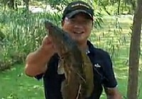 《路亞釣魚視頻》泗陽獵黑戰記上篇