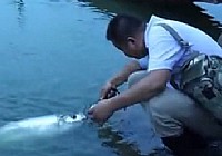《路亞釣魚視頻》水庫路亞16.8斤大巧嘴魚