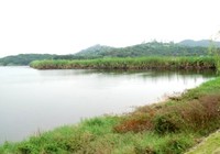 《路亞釣魚視頻》蘆葦釣場如何找標點擒黑魚