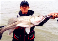 《路亞視頻》 男子海釣擒獲米級海鱸