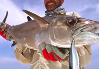《路亞釣魚視頻》 帥哥抽鐵板釣獲狗牙金槍魚